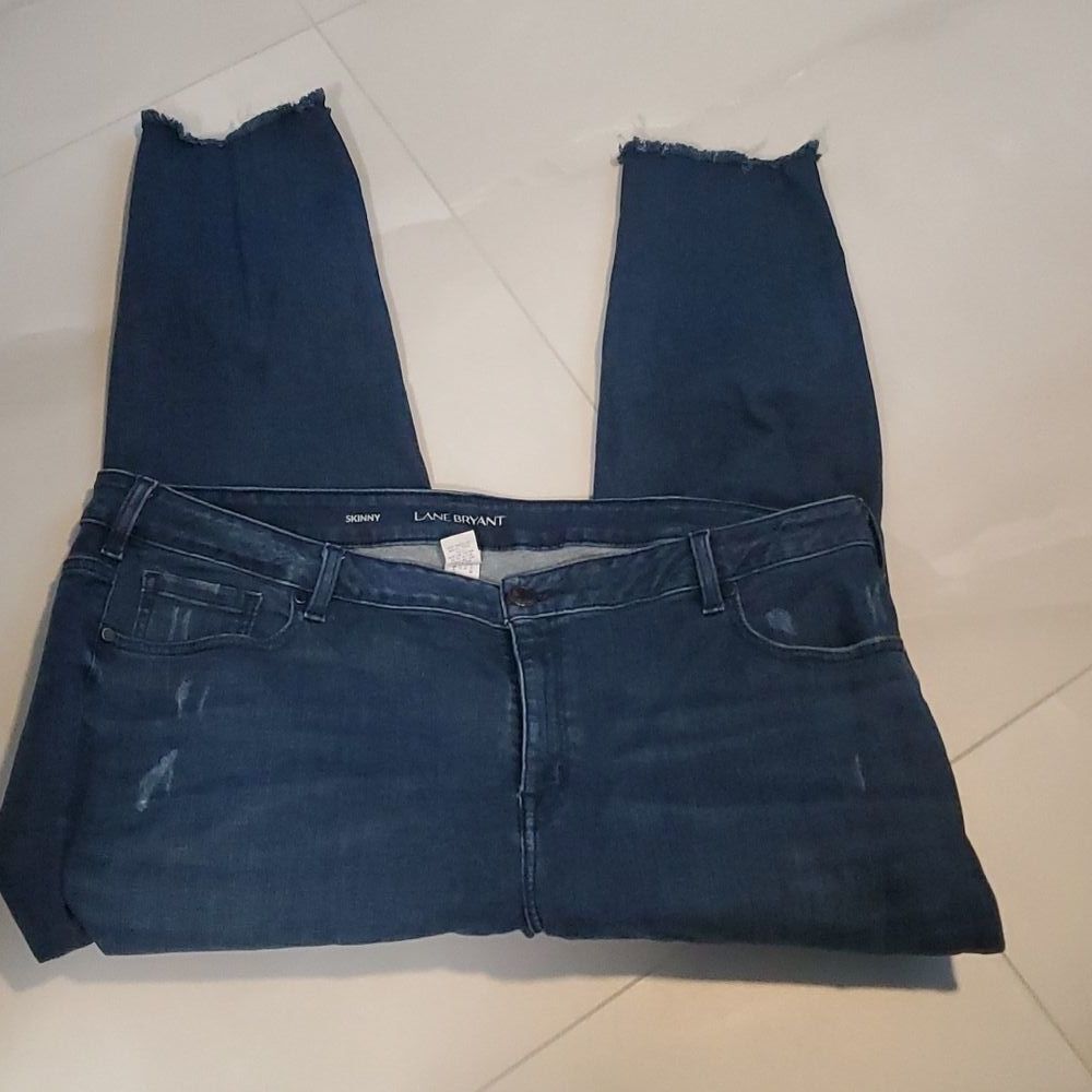 Lane Bryant Blue Skinny Jeans Size 24
